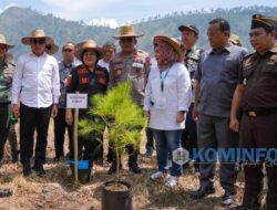 Tanam Pohon Bersama di Karo untuk Peringatan Hari Lingkungan Hidup