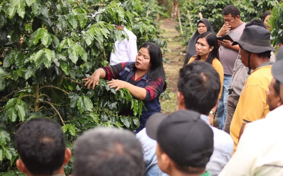 Studi banding Kelompok Tani Dalan mende ke Demplot Kopi di Desa Bangun.(foto/istimewa)