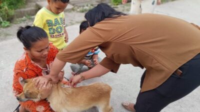 Petugas lakukan Vaksinasi terhadap hewan peliharaan anjing.(foto/istimewa)