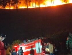 Pemkab Dairi Padamkan Kebakaran Hutan di Silalahi
