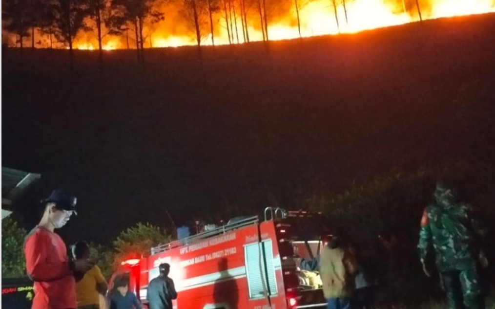 Tim Pemadam lakukan pemadaman kebakaran hutan.(foto/istimewa)
