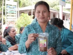 PKK Kecamatan Silahisabungan Pamerkan Produk Unik