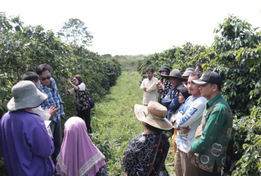 Petani kopi saling berbagi ilmu bertani kopi.(foto/istimewa)