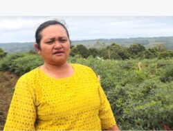 Petani Cabai Kawasan Pertanian Terpadu Parbuluan Sampaikan Terimakasih ke Pemerintah