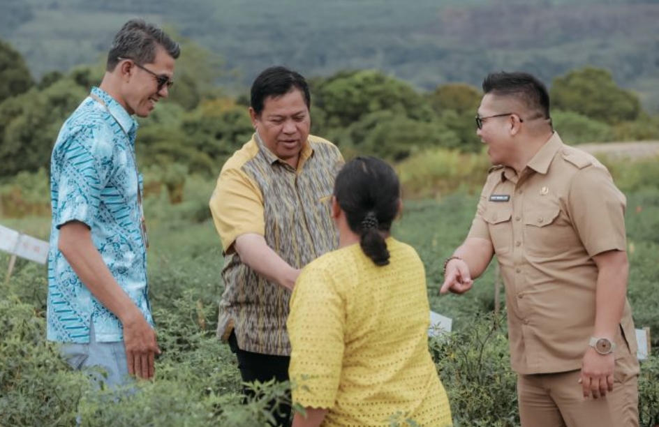 Kawasan Pertanian Terpadu (KPT) Parbuluan.(foto/istimewa)