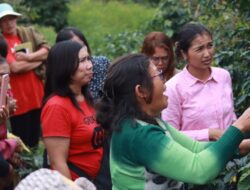 Kelompok Tani Arif Desa Sitinjo Selesai Laksanakan Pelatihan Budidaya Kopi