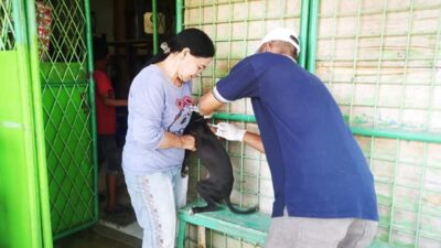 Vaksinasi terhadap hewan peliharaan warga Kota Medan.(foto/istimewa)