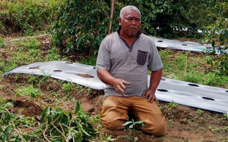 Saut Sigalingging, Petani kopi di Desa Bangun.(foto/istimewa)