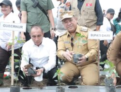 Begini Perkembangan Kawasan Pertanian Terpadu di Parbuluan