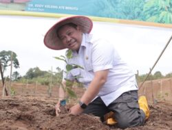 Bupati Dairi Hadiri Tanam Perdana Sistem Fertigasi di KPT Parbuluan