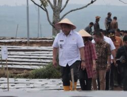 Pembangunan Kawasan Pertanian Terpadu di Parbuluan Capai 95 Persen