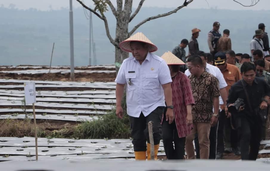 Kawasan Pertanian Terpadu (KPT) Parbuluan.(foto/ist)