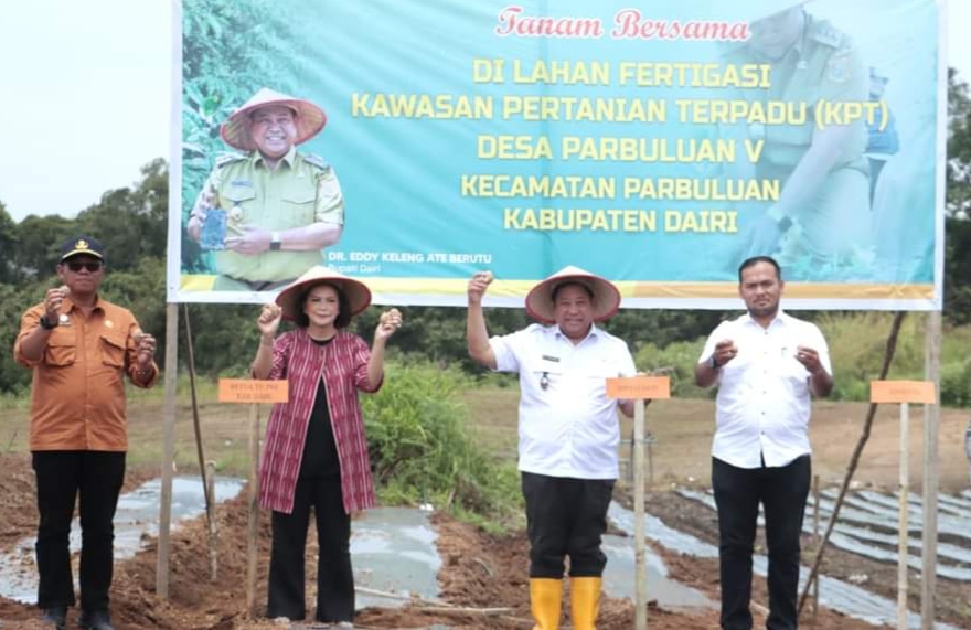 Tanam bersama di Kawasan Pertanian Terpadu (KPT) Parbuluan.(diri/ist)