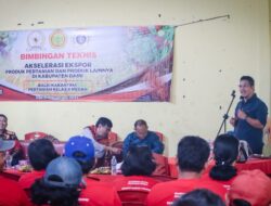 Jadi Narsum Bimtek Akselerasi Ekspor Produk Pertanian, Kadistan Dairi: Pola Bertani Kita Harus Diubah
