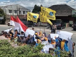 Demo AGMD Demo di Depan Kantor Bupati Dauri, Tuntut Kasus Pengadaan Bibit Kopi Segera Diungkap