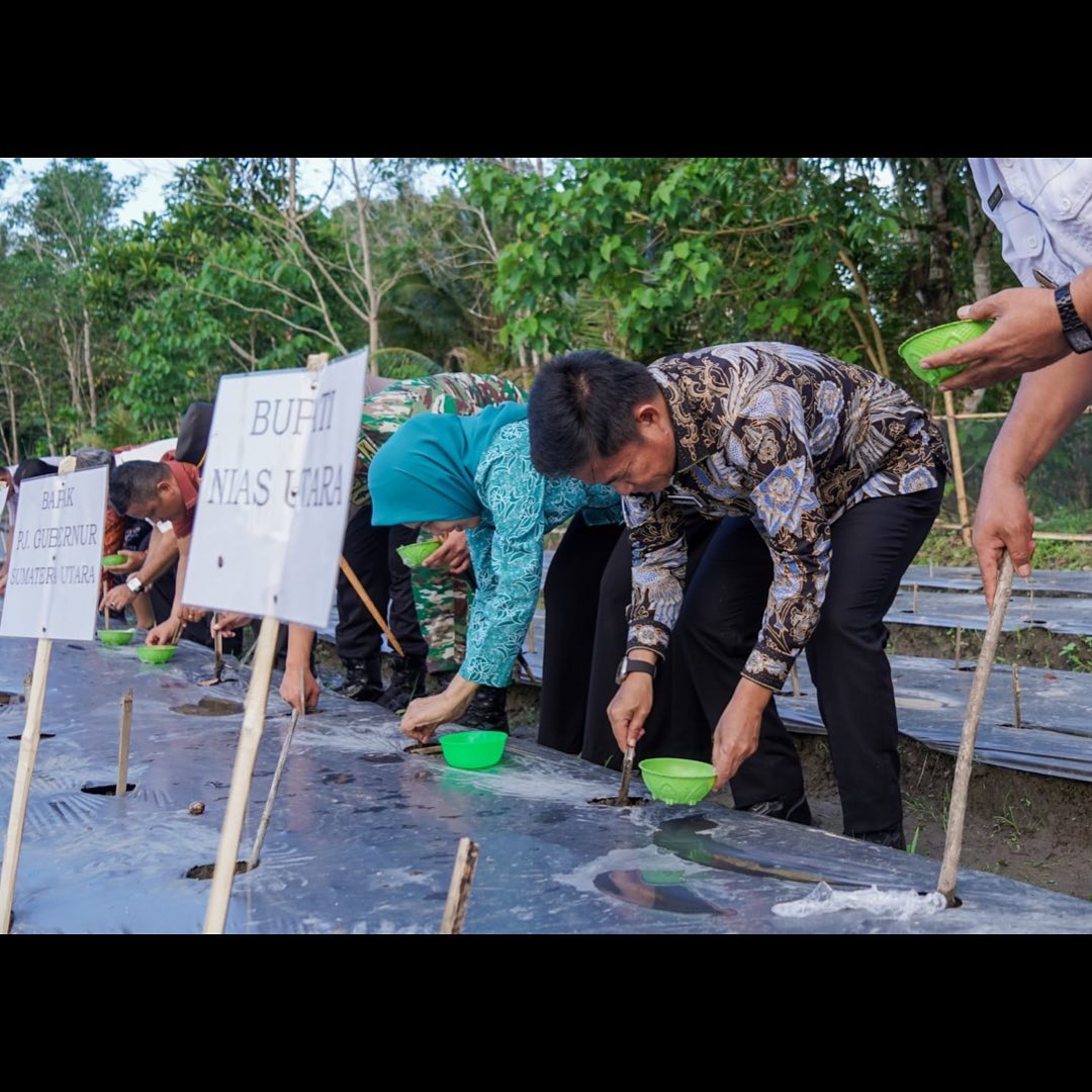 Penjabat (Pj) Gubernur Sumatera Utara (Sumut) Hassanudin menanam jagung di kebun Sekolah Menegah Kejuruan (SMK) Negeri 2 Tuhemberua, Nias Utara. (foto/ist)