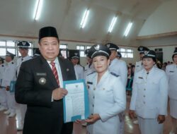 Simak Terobosan Iin Nenci Feronika Lumbantobing, Kepala Desa Terpilih Desa Banjar Toba