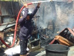 UPT Damkar Pemkab Dairi Gerak Cepat Atasi Kebakaran Meluas di Batang Beruh