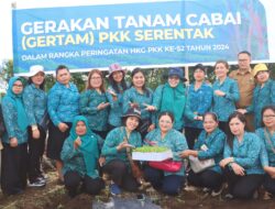 TP PKK Dairi Tanam 2000 Batang Cabai
