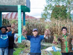Pj Bupati Dairi Puji Pertanian Ala Teddy Tobing, Bantu Pemerintah Kendalikan Inflasi Dengan Pemanfaatan Pekarangan Rumah