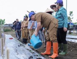 Pj Bupati Dairi Bersama Karang Taruna Tanam Perdana Cabai dan Jagung