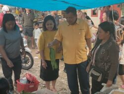 Vickner Sinaga Kunjungi Pasar Pargambiran Sumbul, Sapa Pedangang dan Berbelanja