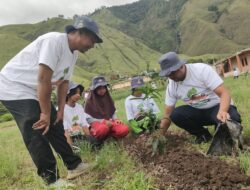 Satgas Penyelamatan Ekosistem Danau Toba Tanam 400 Pohon Produktif
