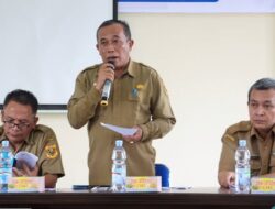 Terjadi Kenaikan Kasus Kematian Bayi Tahun 2024, Pj Sekda Dairi Jonny ; Lakukan Perumusan Solusi Penanganannya