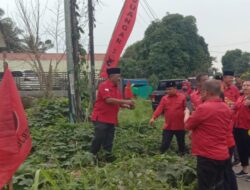 Hari Jadi ke-52, DPC PDI-P Kota Siantar Tanam Ratusan Bibit Pohon