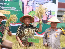 Ikuti Panen Padi Serentak Se-Indonesia, Vickner Sinaga Ajak Masyarakat Lestarikan Kembali Gotong-royong