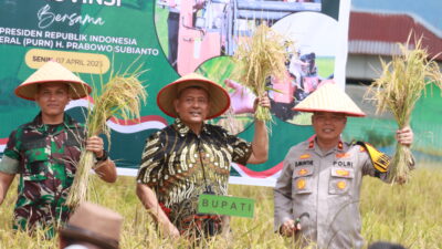 Ikuti Panen Padi Serentak Se-Indonesia, Vickner Sinaga Ajak Masyarakat Lestarikan Kembali Gotong-royong