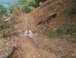 Bencana Longsor, Akses Jalan Desa Alur Subur Mulai Dapat Dilintasi