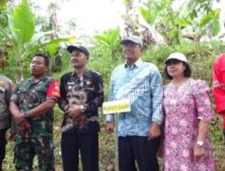 PT DPM Serahkan 10 Ribu Bibit Pohon Kemiri Kepada Masyarakat Dairi