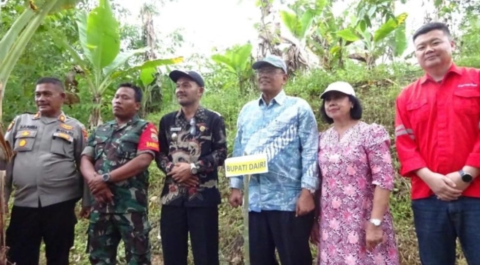 PT DPM serahkan 10 ribu bibit pohon kemiri ke Pemerintah Kabupaten Dairi.(ist)