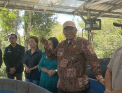 Ikut Panen Ikan Lele di Sidiangkat, Bupati Dairi Bahas Persiapan Dapur Makan Bergizi Gratis