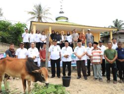 Bupati Dairi Serahkan Sapi Kurban dari Presiden RI Jelang Idul Adha
