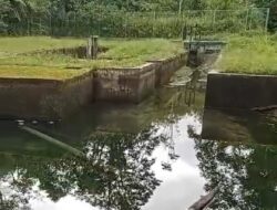 Akibat Kemarau, Debit Air Lae Cimberah Menurun Drastis
