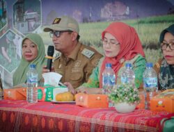 Wakil Bupati Dairi Buka Rakor Teknis Program HDDAP, Targetkan 606 Hektar Lahan Untuk Pengembangan Holtikultura