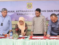Petani Lahan Kering Naik Level! Gandeng OJK & Bank, Dairi Ciptakan Ekosistem Pertanian Pintar Finansial