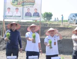 Dukung Swasembada Pangan, Pemkab Kabupaten Dairi Gandeng PT. Pupuk Indonesia Tanam Padi Bersama