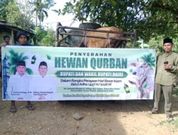 Bupati dan Wakil Bupati Dairi Serahkan Sapi Kurban untuk Warga Alur Subur