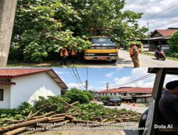 Respons Cepat Dinas Tarukim Siantar, Pohon Pengganggu Jalan di Lakbol Atas Langsung Dirantingi