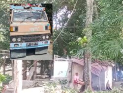Penebangan Pohon Mahoni di RS Harapan Siantar Diduga Ilegal, DLH Buka Suara, Kejari Turun Tangan