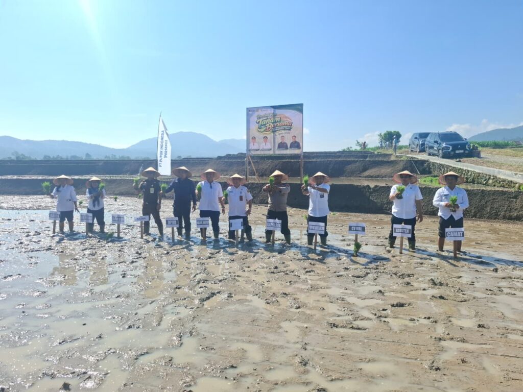 Foto : PT. Pupuk Indonesia dan Pemkab Dairi melakukan tanam padi bersama di Desa Lumban Toruan, Kecamatan Lae Parira, Rabu 22 April 2026. dan dihadiri Wakil Bupati Dairi, Wahyu Daniel Sagala dan stakeholder lainnya. (ist)