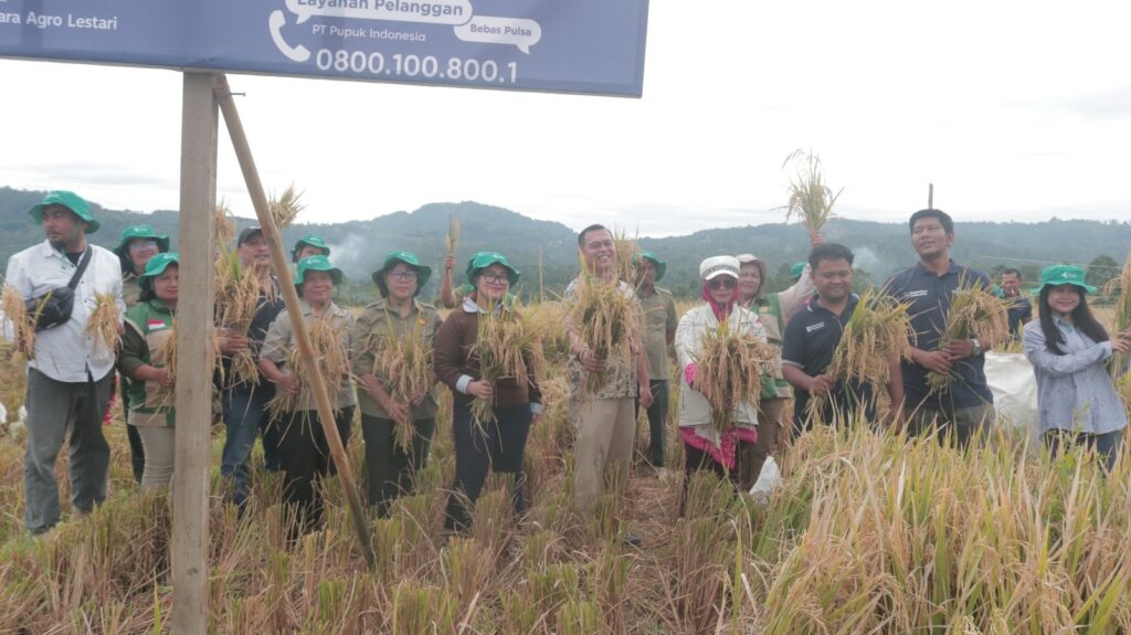 Foto: Usai panen bersama, Kamis (20/8/2026) di demplot padi Desa Lumban Hoturuan, Kecamatan Lae Parira, bersama PT Pupuk Indonesia (PI) dan Pemkab Dairi dalam hal ini, Dinas DKPPP) Dairi. (Ist)